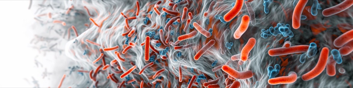 Microbiome changes during fasting